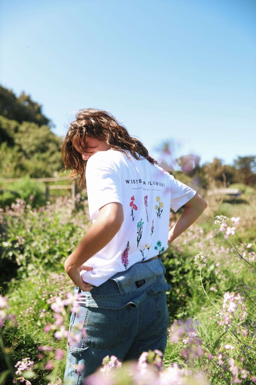 Polera Flowers - Wisteria - Wisteria Chile - Polera Flowers - Wisteria