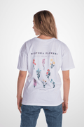 Polera Flowers - Wisteria - Wisteria Chile - Polera Flowers - Wisteria
